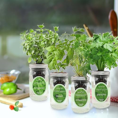 Hydroponic Herb Growing Kit Set, Self-Watering Mason Jar Herb Garden Starter Kit Indoor, Grow 4 Kinds of Herbs from Seeds (Cilantro,Basil,Parsley&Oregano) - color: Cilantro,Basil,Parsley&Oregano