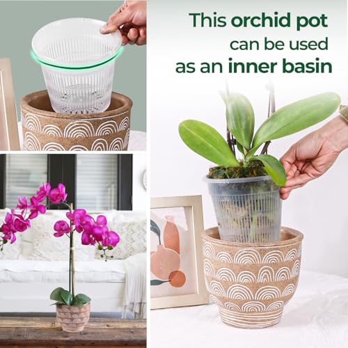 T4U Clear Orchid Pots 6.3 Inch 6 Pack, Orchid Pot with Holes Repotting - size: 6.3 Inch, 6 Pack