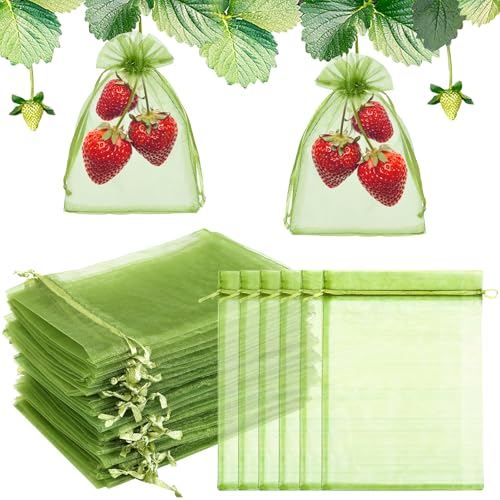 50 PCS 4X6 inches Fruit Protection Bags, Fruit Bags for Fruit Trees - size: 4X6