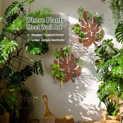 2 Pack Monstera Hanging Wall Planter, Plant Propagation Station - size: 2 Pack