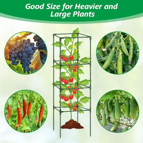 6Pack Tomato Cages for Garden,Square Tomato Plant Cage Support Heavy Duty Pole 57*15.4*15.4 Inches,Steel Plant Tower Stakes,Cherry Tomato Trellis Cucumber for Climbing Vegetables Flowers Fruits-Green - color: Tomato Cages-Green