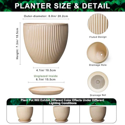 8 Inch Pots for Plants, Ceramic Planter with Saucer, Beige - color: Beige, size: 8 Inch