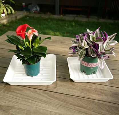 6 Pack 10" Square Plant Water Catcher Tray, Sturdy Plastic Saucer for Windowsill & Flower Pots, White - color: White, size: 10" - 6 Pack