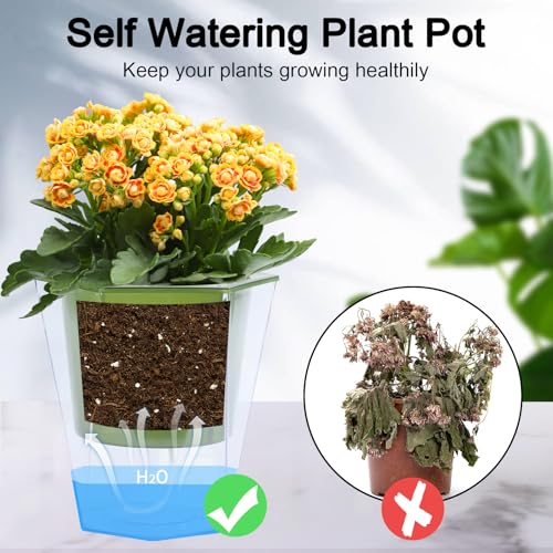 Oliz Self Watering Planter 5 Pcs, 4.5 Inch Flower Plant Pot with Transparent Inner Pot, Gardening Flowerpot with Watering Can, Indoor Self Watering Planter Pot for Herbs, Flowers (Green) - color: Green