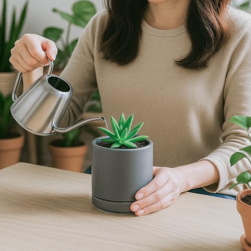 D'vine Dev 2-Pack Ceramic Pots with Saucers, Grey, 3.5 in, 94-V-A-3 - color: Gray, size: 3.5 Inch