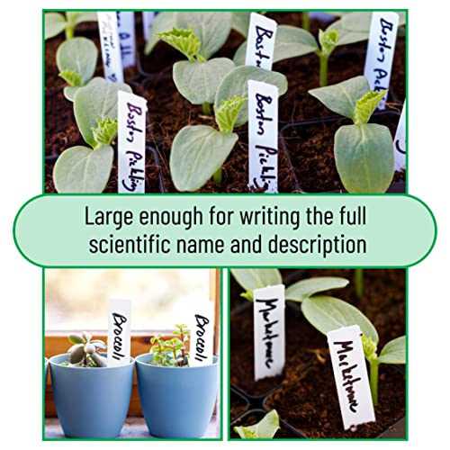 Mr. Pen- Plastic Plant Labels, 100 Pcs, 4“, White - color: White Plant Labels