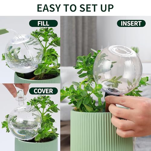 Soilagua 19 oz Up to 2 Weeks Extra Large Plant Watering Globes, 2 Pack - size: 2 Pack