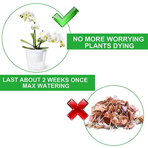 MNKNENG 12 Pack Self Watering Pots for Indoor Plants 4.3 Inch Small Self-Watering Planter Pots with Water Level Indicator, Clear Plastic Round Plant Pot for Succulent, Flower, Herb,Office Home Decor
