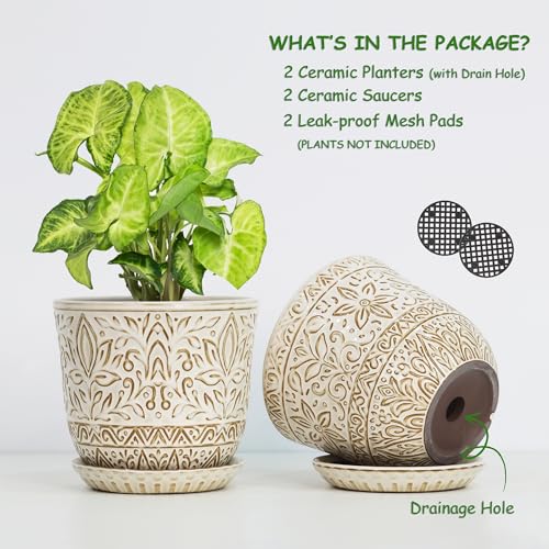 Gepege Ceramic Plant Pots, 6 Inch Indoor Planters with Drainage & Saucers - color: White-a, size: 6 Inch - Set of 2