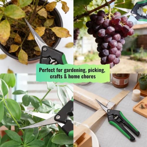 LDK 6 Pack Curved Blades Gardening Hand Pruner Pruning Snip - color: 6 Pack Curved