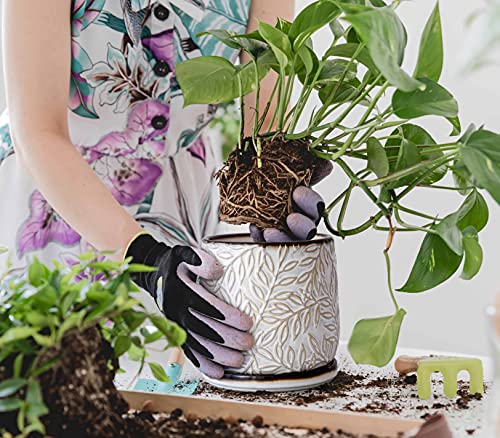 D'vine Dev Embossed Leaves Ceramic Planter, 6 in, Smoked White, 27-A-X-1 - color: Smoked White, size: 6 Inch