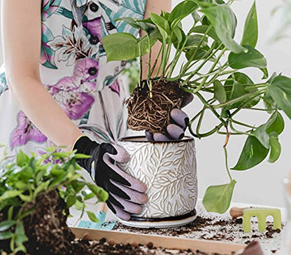 D'vine Dev Embossed Leaves Ceramic Planter, 6 in, Smoked White, 27-A-X-1 - color: Smoked White, size: 6 Inch