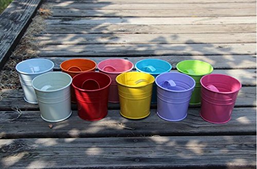 KINGLAKE Flower Pots,10 Pcs Metal Iron Hanging Flower Plant Pots Balcony Garden Plant Planter Baskets Fence Bucket Pot 4'' Flower Holders with Detachable Hook - color: Multicolor, size: 4 Inch