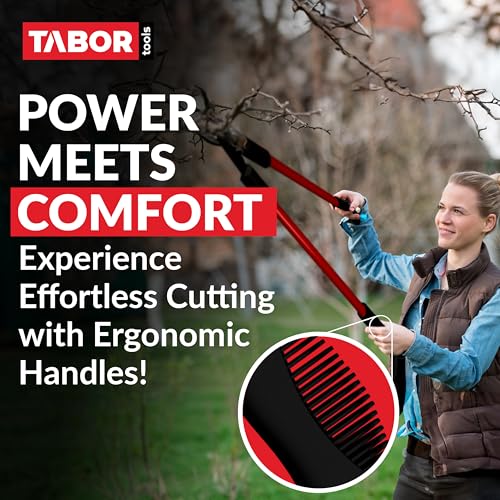 TABOR TOOLS GL16A Bypass Lopper, Classic 28 Inch Tree Trimmer & Branch Cutter, Heavy Duty Tree Pruner with 1 1/4 Inch Clean Cut Capacity, Chops Branches with Ease - style: GL16A Classic 28 Inch Bypass Lopper