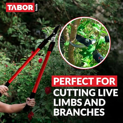 TABOR TOOLS GL16A Bypass Lopper, Classic 28 Inch Tree Trimmer & Branch Cutter, Heavy Duty Tree Pruner with 1 1/4 Inch Clean Cut Capacity, Chops Branches with Ease - style: GL16A Classic 28 Inch Bypass Lopper