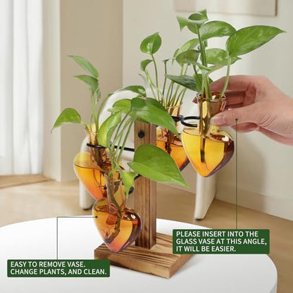 Plant Terrarium Propagation Stations with Wooden Stand - color: Arbor