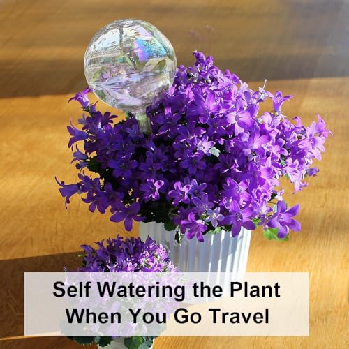Glass Plant Watering Device, Planter Self Watering Globes for Home Potting - color: R.Clear Glass 6pcs