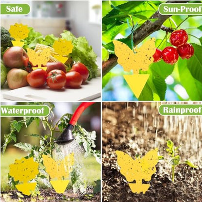 96 Pack Fruit Fly Sticky Trap - Gnats Insect Traps for Indoor Outdoor, Yellow Double-Sided Sticky Insect Catchers Fungus, Fruit Flies, Whiteflies, Aphids, Leaf Miners - size: 96P
