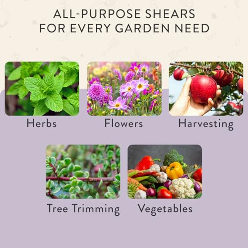 Modern Sprout Pruning Shears- Garden Snips - Herb Scissors- Lavender 1-Pack - color: Lavender