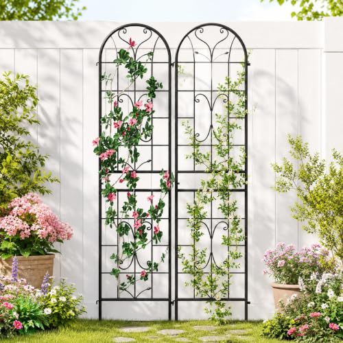 2-Pack 87" x 20" Ornate Scrollwork Arch Black Metal Garden Trellises - color: 2 Pack 87"- Ornate Scrollwork Black