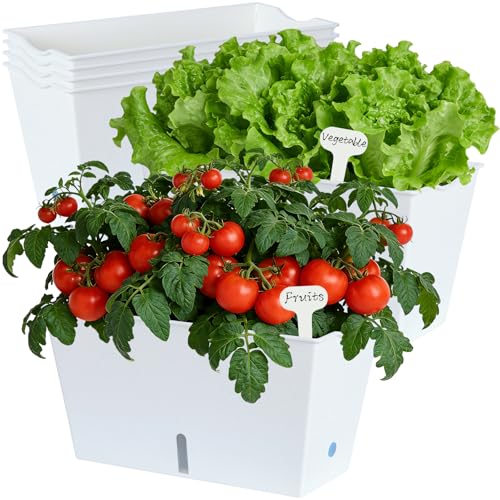 Window Box Planter 6 Pcs, 12.1 Inches Self Watering Plant Pots Rectangle Flower Pots with Drainage Holes and Breathable Trays, Vegetable Planters for Windowsill Patio Garden Balcony Porch Yard (White) - color: White, size: 12.1*6.4*6.3 inch