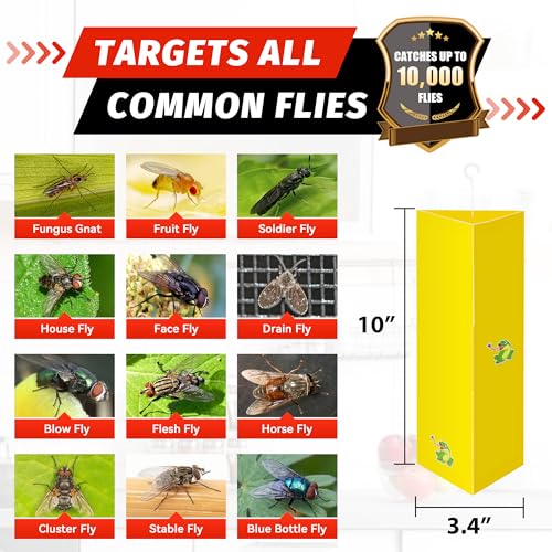 LULUCATCH Sticky Fly Traps, 10 Pack Fly Catcher Fungus Gnat Traps for Flying Insects, Hanging Yellow Sticky Traps for Fruit Fly, Non Toxic Odorless Bug Catcher, Pet Safe Pest Control - size: 10 Pack-B