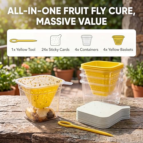 Fruit Fly Traps for Indoors, DIY Fruit Fly Traps - 4X Reuseable Funnel Traps + 24x Clear Sticky Trap - No-Mess, Uses Natural Bait - size: 4 Fruit Fly Trap + 24PCS Sticky Trap