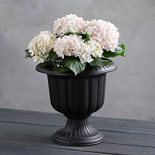 Root & Vessel, Classic Urn Planter, Black, 14-Inch - color: Black, size: 14 Inch