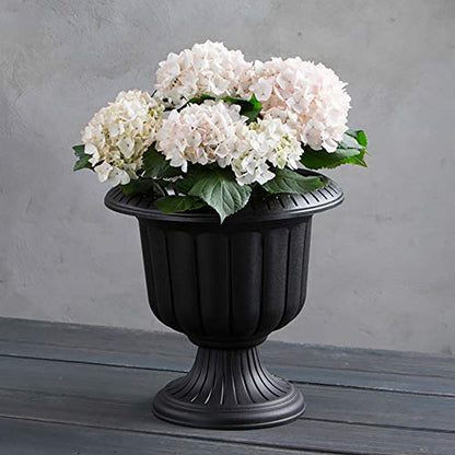Root & Vessel, Classic Urn Planter, Black, 14-Inch - color: Black, size: 14 Inch