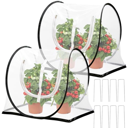 2 Pcs Garden Plant Protector Covers with Mesh Vents, 26.8"x25.6"x16.9" Pop Up Insect Barrier for Raised Beds, Easy Setup Netting to Guard Vegetables, Seedlings, Potted Plants Outdoor