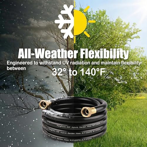 10FT Female to Female Leader Hose, 5/8 in, 3/4 GHT Brass Fittings - size: 10FT ( Female - Female )
