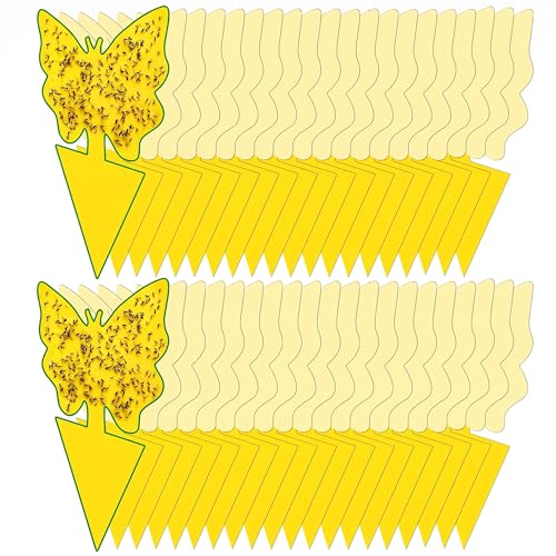 40 Pack Fungus Gnat Traps, Yellow Sticky Fruit Fly Traps for Indoor Plants - size: 40 packs