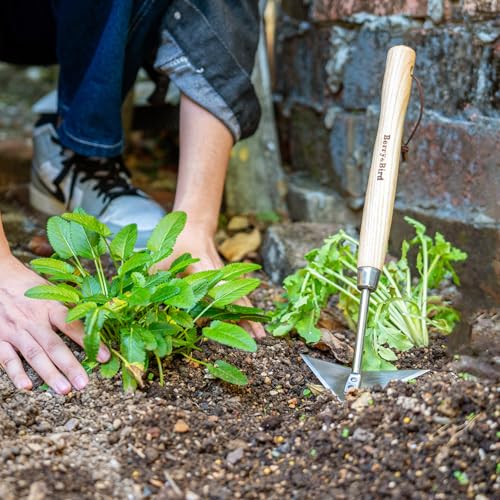 Triangle Hand Hoe, 15.2’’ Winged Weeder Tool with Wood Handle - color: Short Handle Winged Weeder, size: Length: 15.2inches