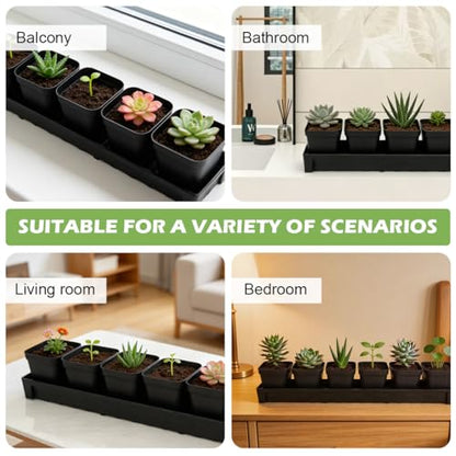 RooTrimmer 10 Pack Plastic Windowsill Saucer with 2.8 inch (7CM) Square Nursery Pots 60pcs, Rectangular Window Sill Plant Pot Trays with Removable Drainage Hole, Thick Plant Saucer Tray (Black) - size: Trays (17"x3"x1.5") + 2.8 Inch Pots-10 Pack