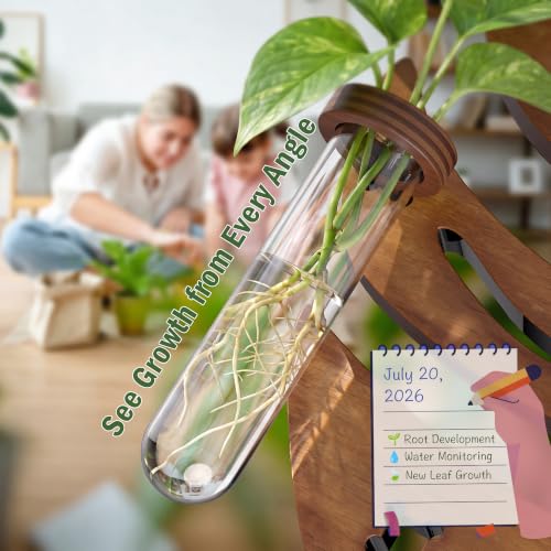 Plant Propagation Station, Monstera Hanging Wall Planter with 6 Glass Tubes - size: 1 Pack