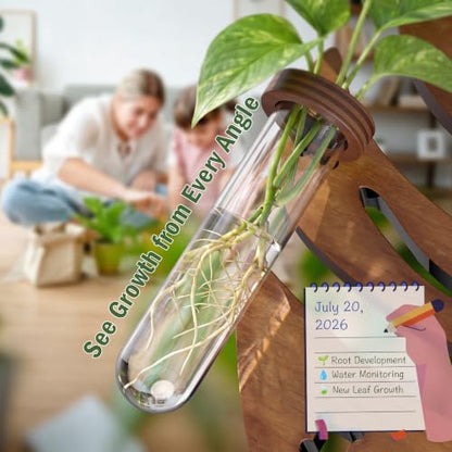 Plant Propagation Station, Monstera Hanging Wall Planter with 6 Glass Tubes - size: 1 Pack