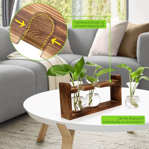 Plant Propagation Station Plant Terrarium Unique Birthday Gifts for Women - color: Transparent