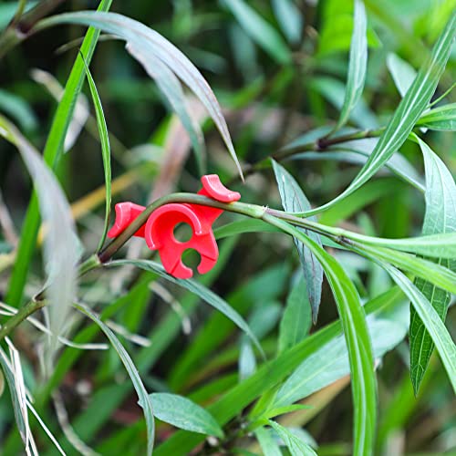 LucyPhy 30 Pack Plant Bender Angle Adjustable Plant Training Clips Low Stress Training Clips 90 Degrees Plant Stem(Circle Style,Red) - color: Red, size: 30Pack