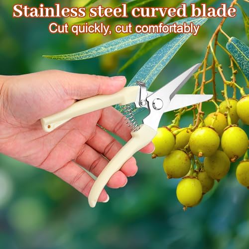 20 Pcs Pruning Shears Floral Shears Heavy Duty Garden Scissors Beige