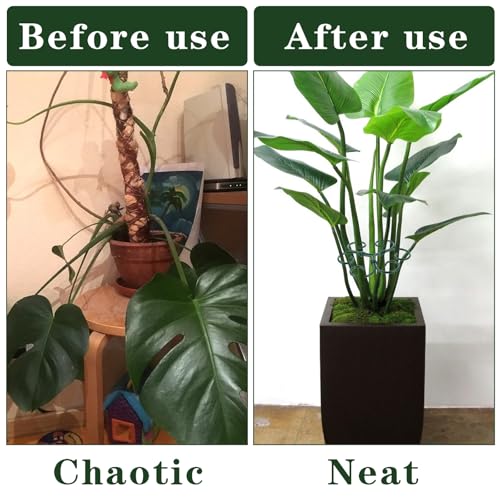 Tyqour 4PCS Plant Stem Support Monstera Support Durable Plant Supports