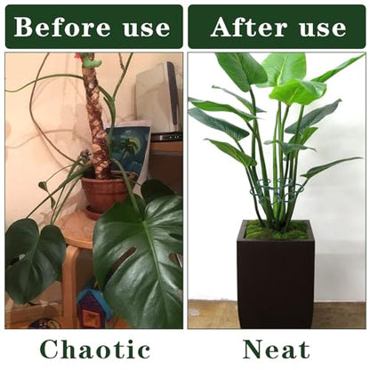 Tyqour 4PCS Plant Stem Support Monstera Support Durable Plant Supports