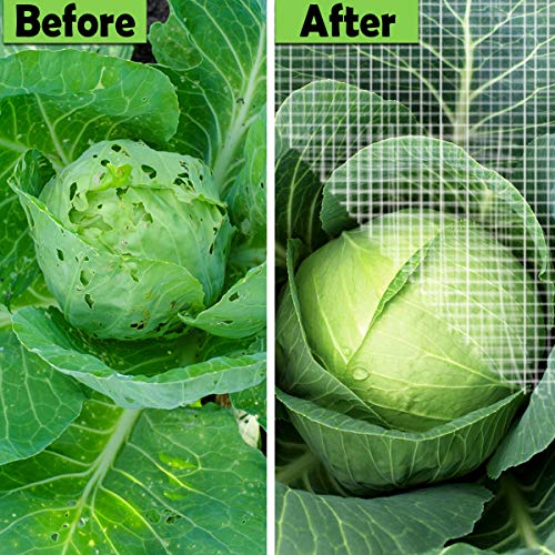 Garden Pest Netting, 10x50Ft Insect Barrier Plant Covers Net - size: 10x50ft Reinforced Netting