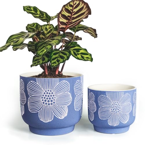 Ceramic Plant Pots, 8+6 Inch, 2 Pcs Indoor Planters with Drainage Holes - color: Modern Matte Blue Floral, size: 8+6 Inch