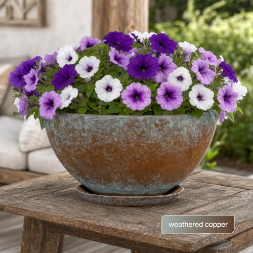 10" Rosie Bowl with Saucer in Weathered Copper - color: Weathered Copper