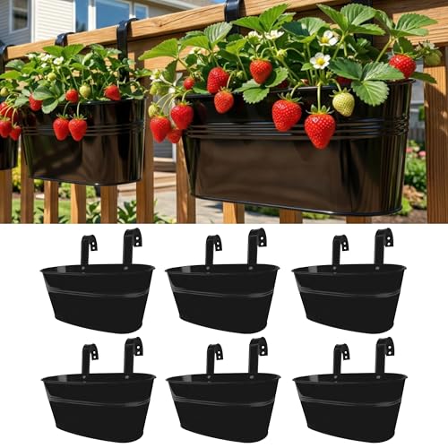 LaLaGreen Outdoor Rail Planter (11.8 Inch, 6 Pack) Black Metal Iron Hanging Flower Pots Deck Railings Fence Buckets Outside Countryside Boho Style Wall Mount Window Box Plant Holder Hook Porch Decor - size: 11.8" (30 cm) x 6 Pack