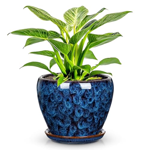 Hollyone Ceramic Planter Blue Ceramic Plant Pot for Plants Flowers 5.5 inch with Drainage Hole and Saucers Ceramic Glaze Round Flower Plant Pot for Indoor Outdoor Round Succulent Orchid Flower Pot - size: 5.5 Inch (Single)