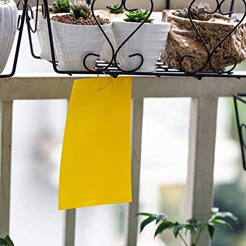 Faicuk Dual Sided Yellow Sticky Traps for Flying Plant Insect, 20 Pack - size: 20 PACK