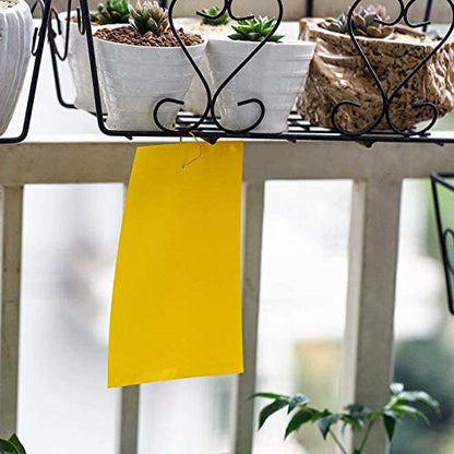 Faicuk Dual Sided Yellow Sticky Traps for Flying Plant Insect, 20 Pack - size: 20 PACK