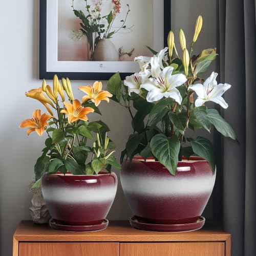 Ceramic Plant Pots, 10+8+6 Inch Ceramic Pots for Plants, Red-White - color: Red-white