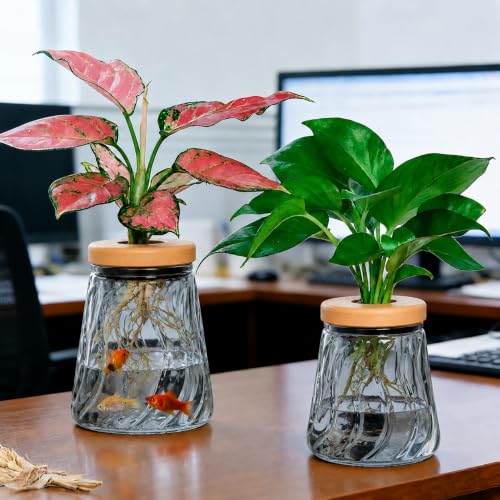 Desktop Plant Hydroponic Vases, Water Plant Jars, Gardening Gifts for Office and Home, Outdoor, Gray Glacier Pattern - color: Gray Glacier Pattern
